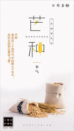 芒种传统节气二十四节气中国传统