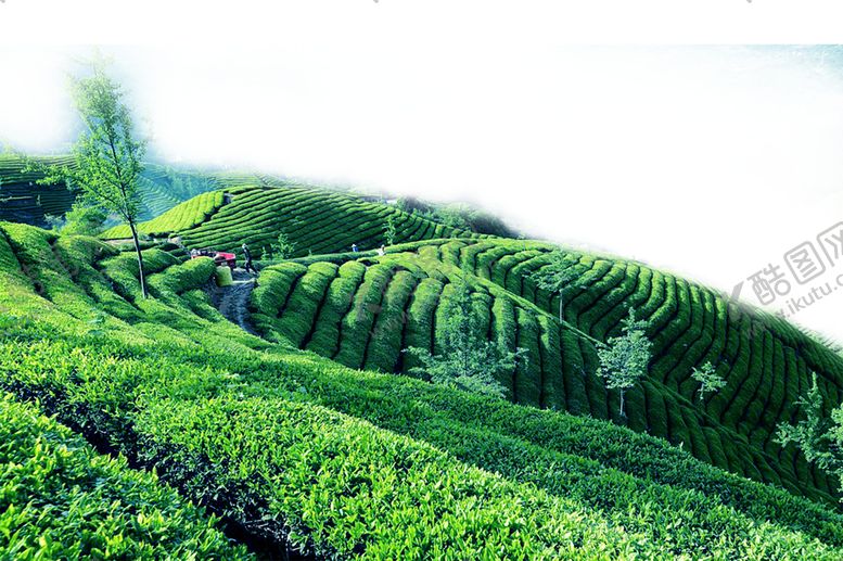 编号：46713809180842183035【酷图网】源文件下载-边框相框