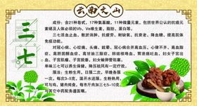 云南三七特产