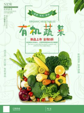 新鲜蔬菜最美瞬间有机蔬菜