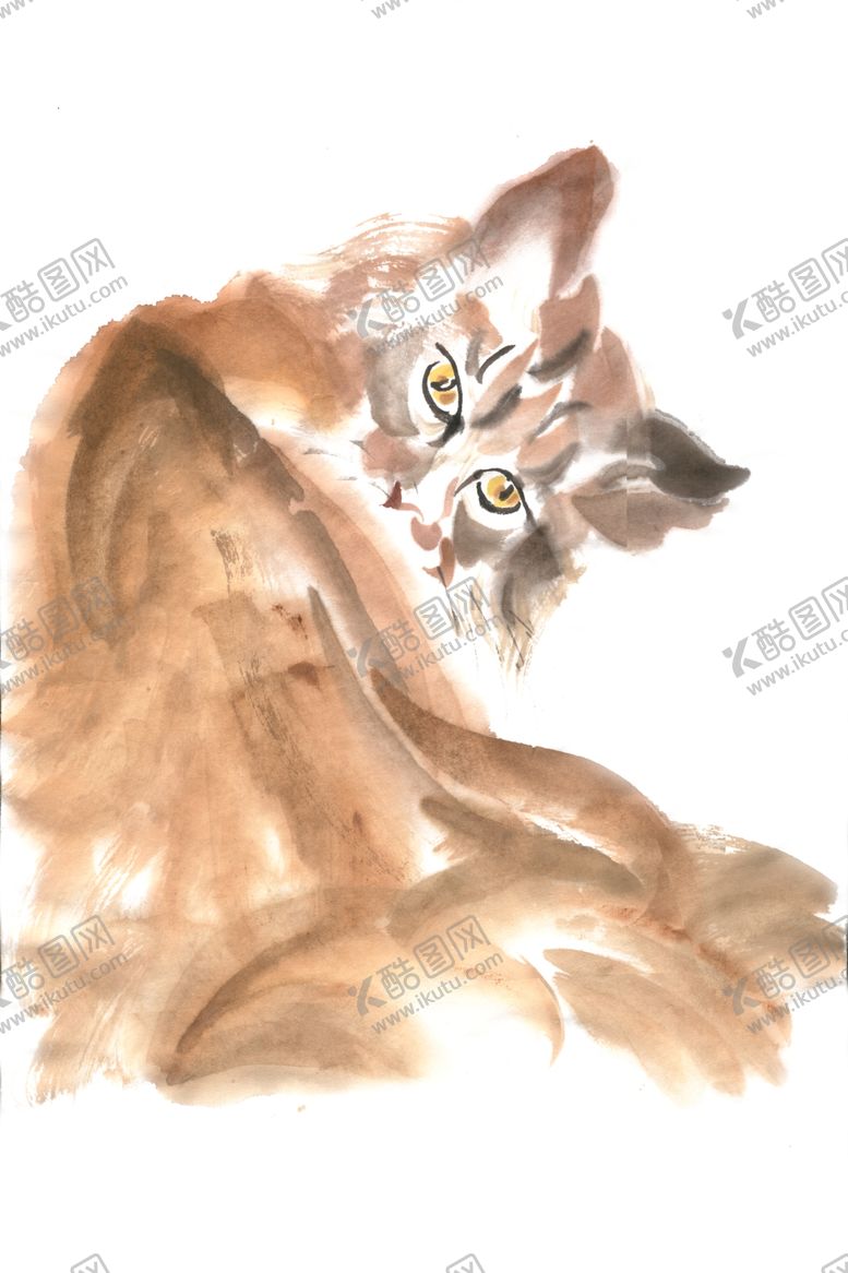 编号：96414405100841487057【酷图网】源文件下载-回眸的猫