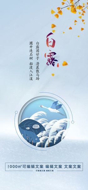 白露海报