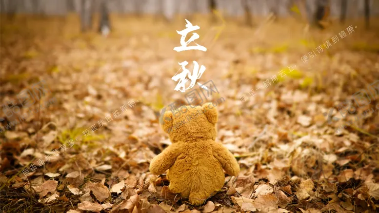 编号：33684806250942209307【酷图网】源文件下载-立秋海报立秋插画立秋宣传