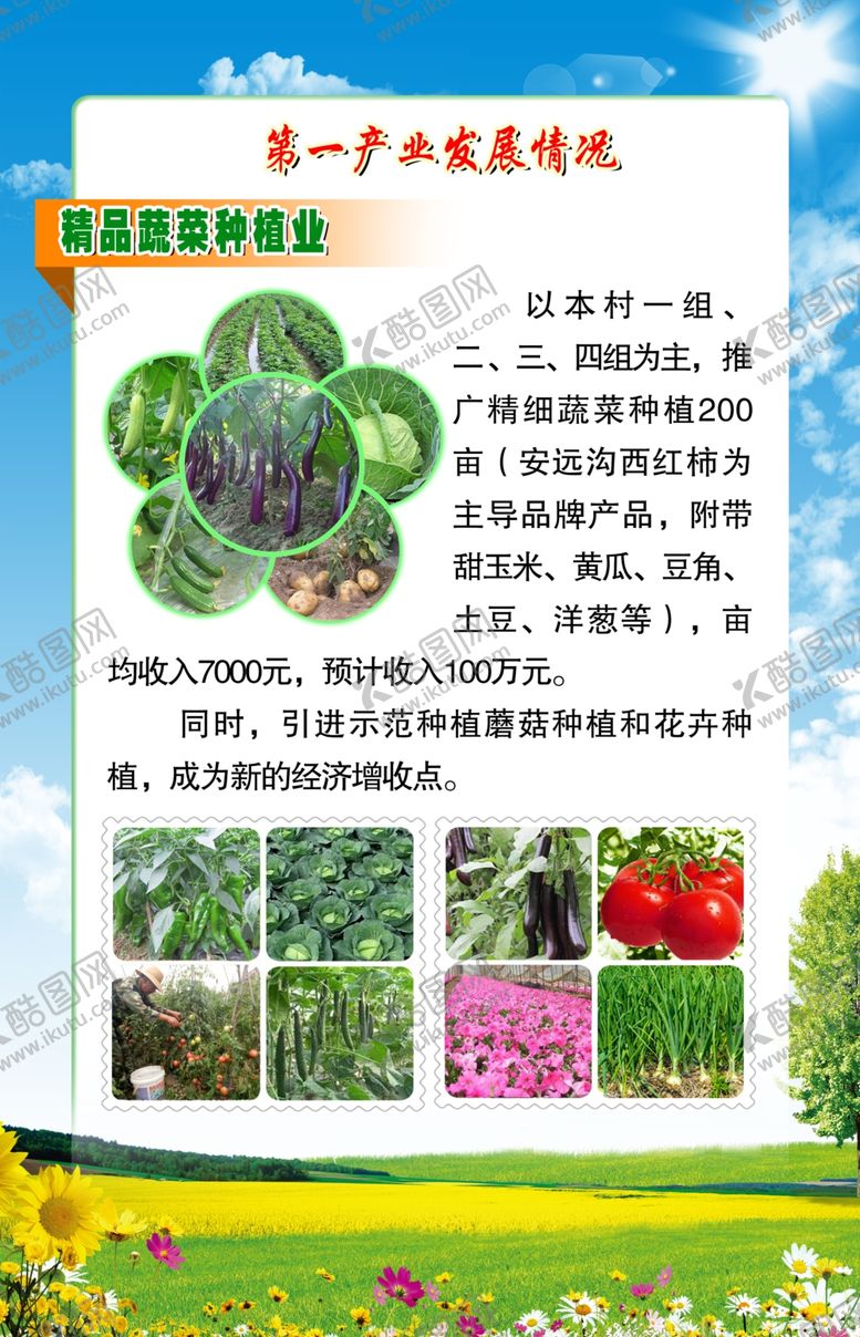 编号：64467911022023369654【酷图网】源文件下载-农副产品精品蔬菜种植