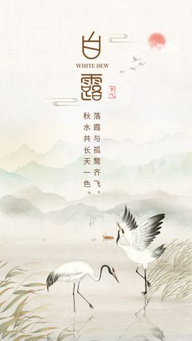 二十四节气白露海报传统活动宣传