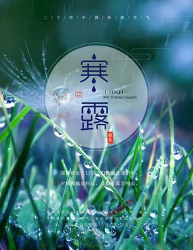 寒露海报