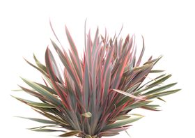 免扣扁平风花卉植物元素素材