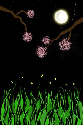 夜晚