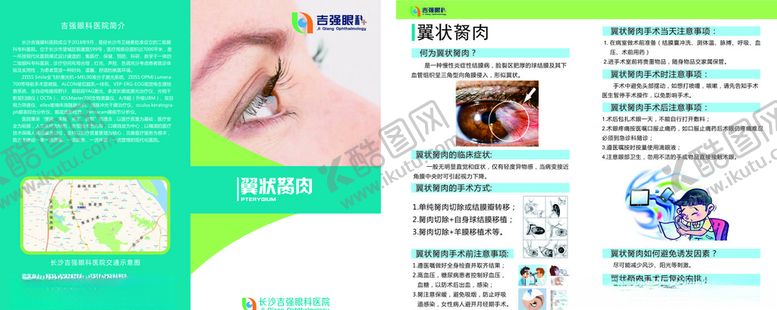 编号：98447704060239198283【酷图网】源文件下载-翼状胬肉
