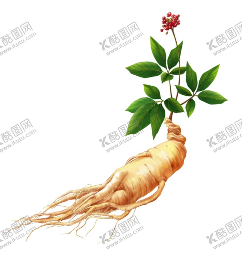 编号：59381011220659586723【酷图网】源文件下载-灵芝
