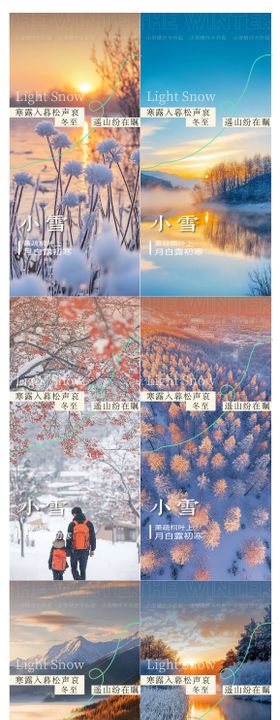 大寒小寒冬至节气系列海报