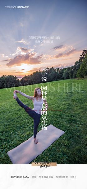 地产价值点配套圈层系列海报质感洋房商办教育