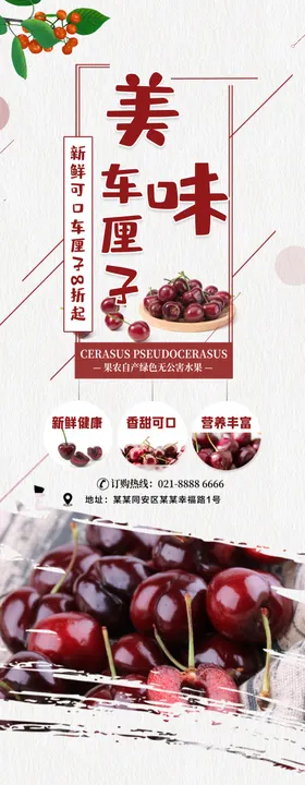 车厘子展架