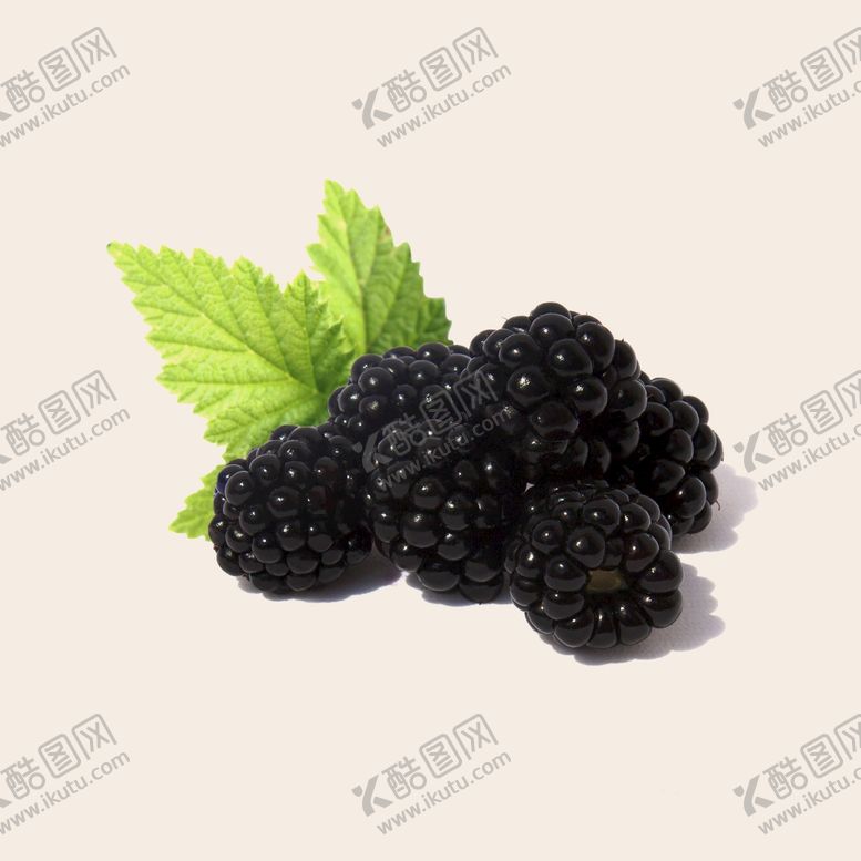 编号：41279809160135109847【酷图网】源文件下载-黑莓水果新鲜水果