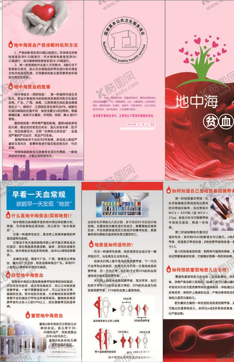 编号：77222305091258119354【酷图网】源文件下载-地中海贫血三折页