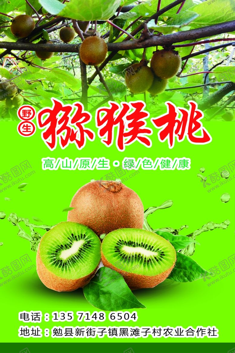 编号：24503803281332062263【酷图网】源文件下载-猕猴桃贴纸