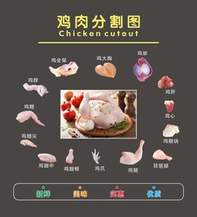 鸡肉分割图