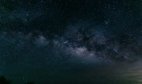 珊瑚海洋生物生物世界摄影