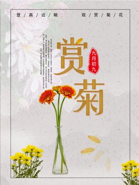 赏菊菊花海报