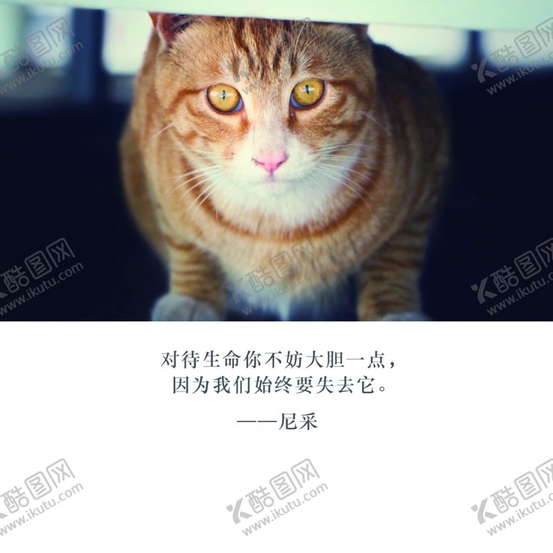 编号：77986905031149102044【酷图网】源文件下载-十一月你好