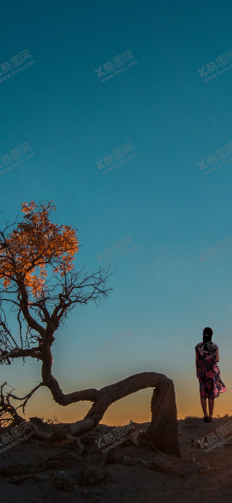 编号：10020010211256134549【酷图网】源文件下载-手机壁纸