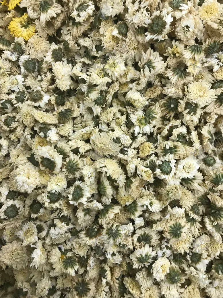 编号：30206612202149308753【酷图网】源文件下载-菊花茶