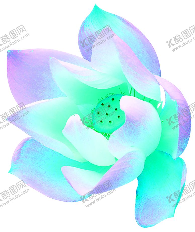 编号：48939610162235198095【酷图网】源文件下载-花素材