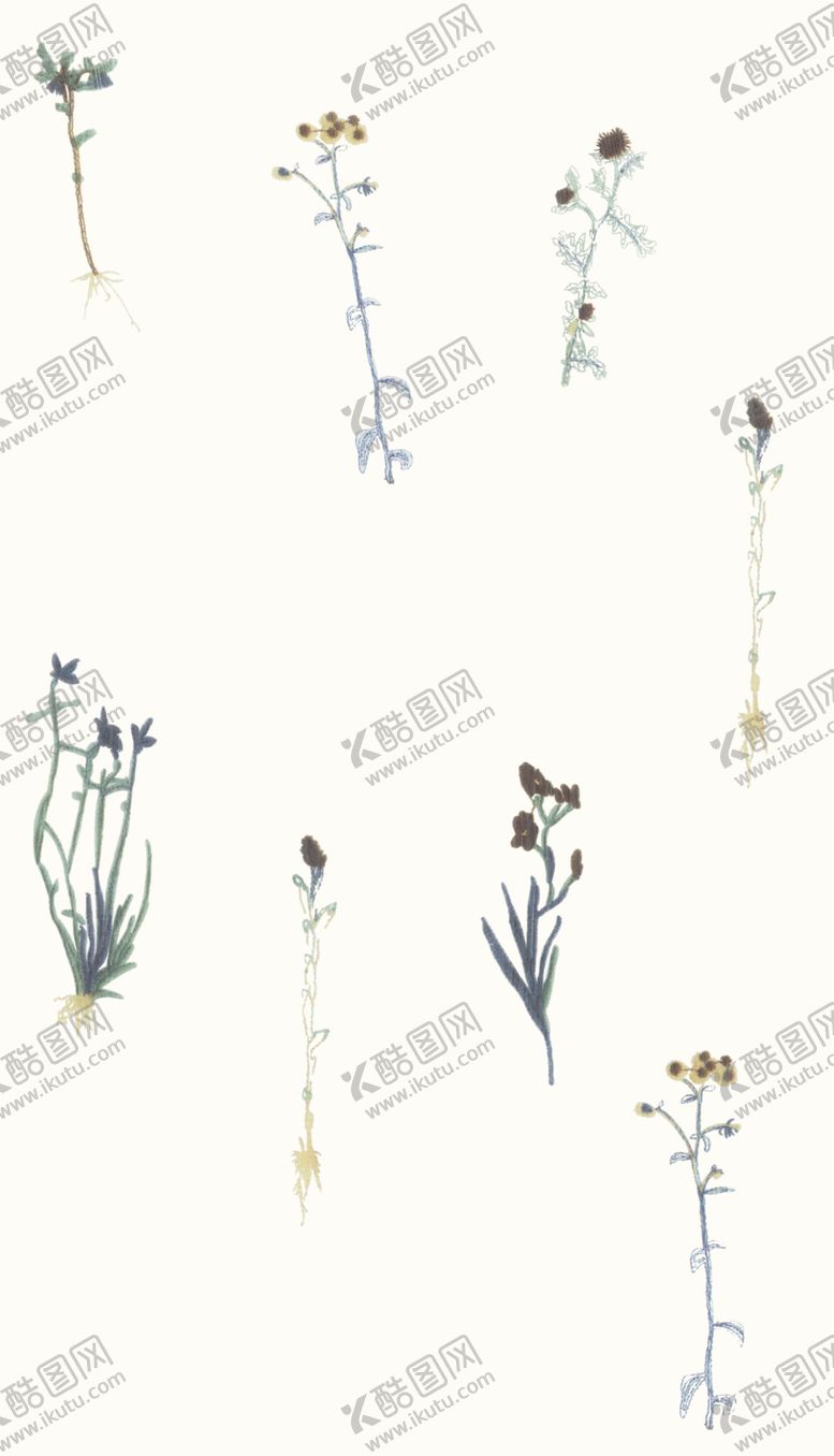 编号：56272504010208272882【酷图网】源文件下载-手绘清新植物花卉图案