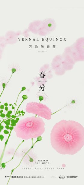 粉色花卉插画作品欣赏