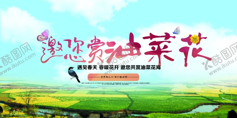 编号：70592307062122235004【酷图网】源文件下载-油菜花