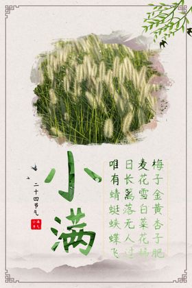 小满