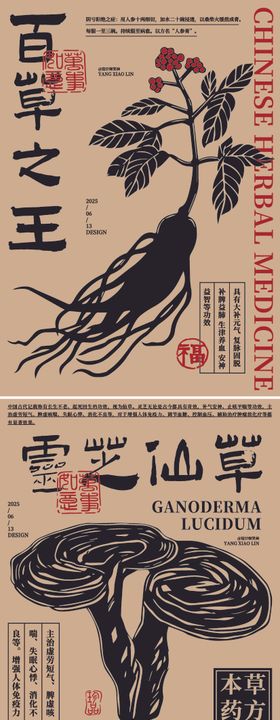 人参灵芝中草药手绘插画海报