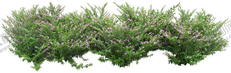 编号：58545310051038327383【酷图网】源文件下载-免扣植物树木素材图片