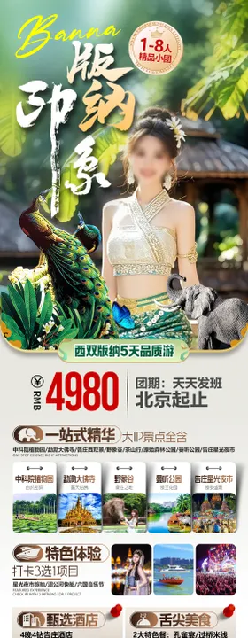 云南西双版纳野象谷告庄夜市旅游海报