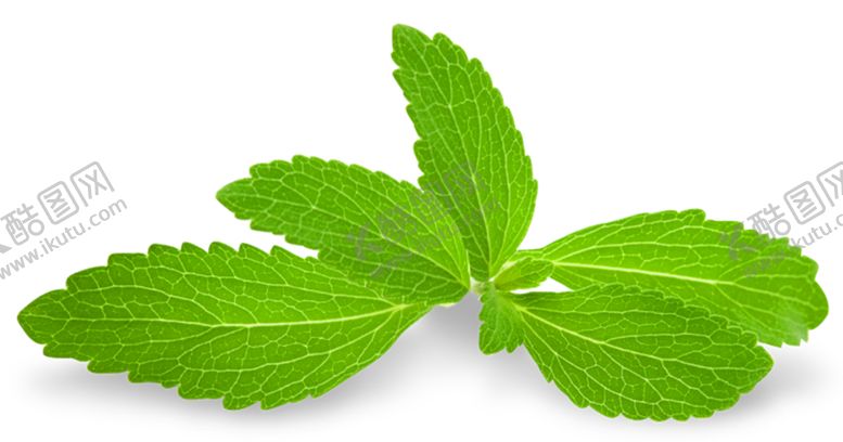 编号：92446310302323452694【酷图网】源文件下载-薄荷
