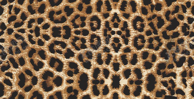 编号：61438310032112099986【酷图网】源文件下载-豹纹