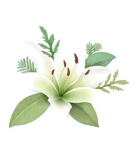 手绘花朵