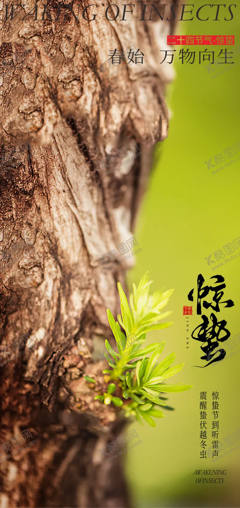 编号：18174802202321152541【酷图网】源文件下载-简约惊蛰节气海报