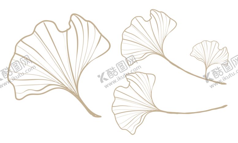 编号：18610609281707286865【酷图网】源文件下载-银杏叶