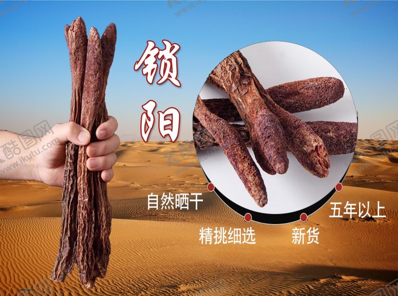编号：72998901171754457644【酷图网】源文件下载-敦煌锁阳