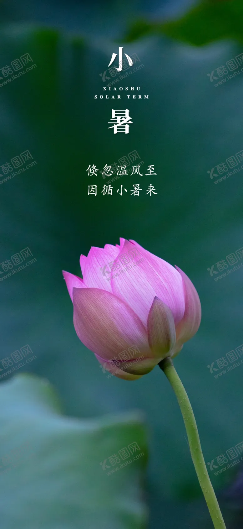 编号：72465310041302172145【酷图网】源文件下载-小暑