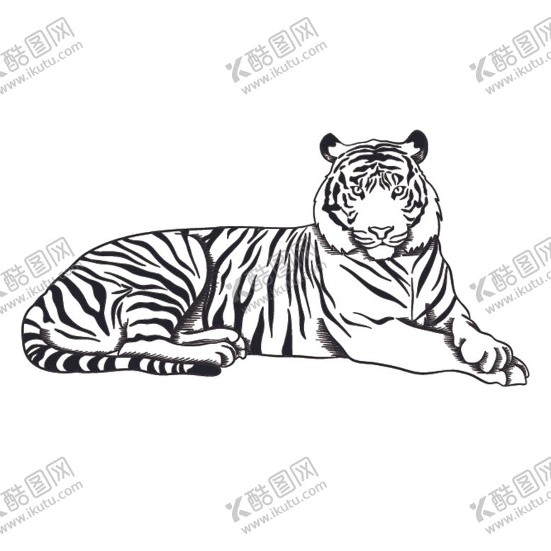 编号：73697506160439079453【酷图网】源文件下载-卡通老虎