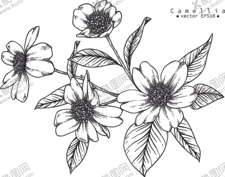 编号：61024310132318202070【酷图网】源文件下载-花卉花蕊