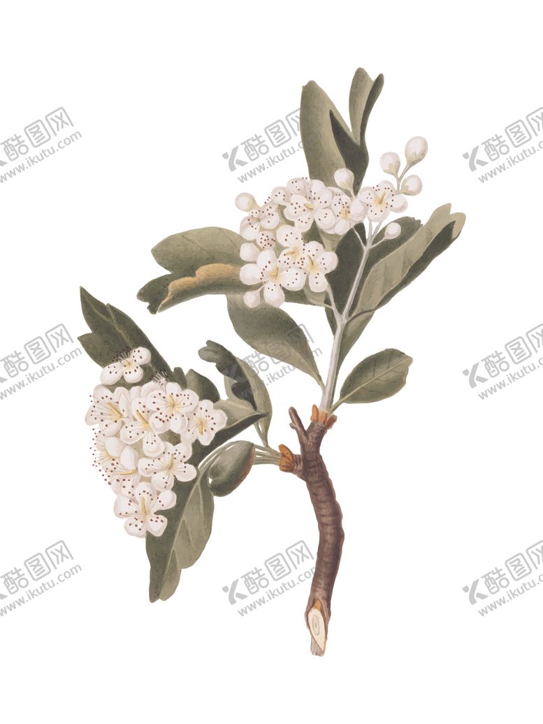 编号：24124609211348503058【酷图网】源文件下载-花纹