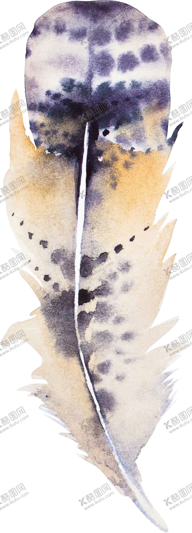 编号：87747610020002583354【酷图网】源文件下载-手绘水彩羽毛