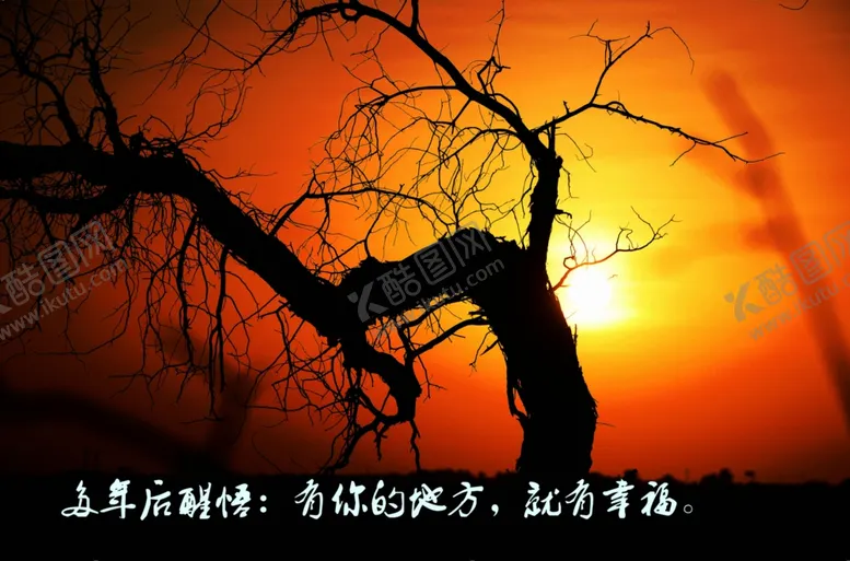 编号：34517411010152242567【酷图网】源文件下载-看夕阳美景