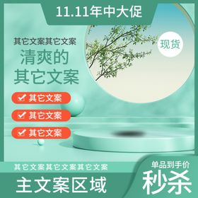 直通车大类目主图