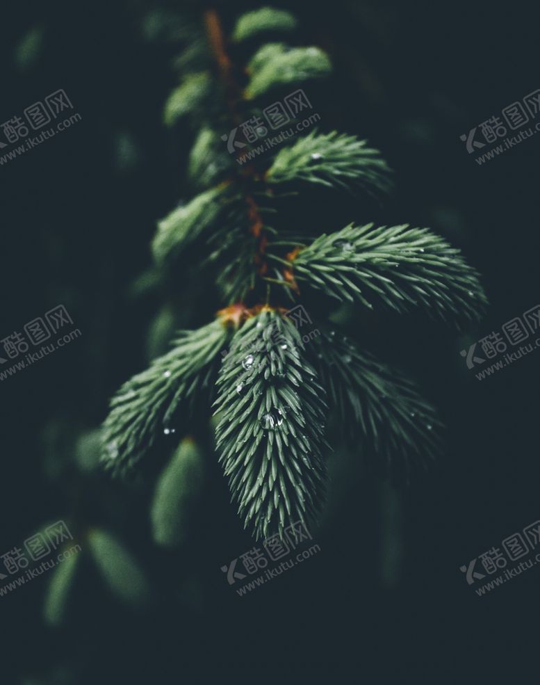 编号：82399503141301453981【酷图网】源文件下载-壁纸