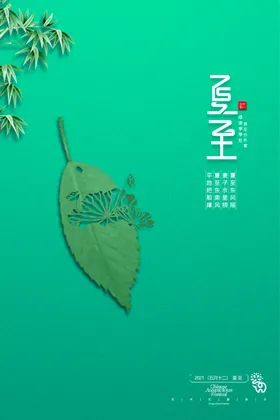 夏至海报天二十四节气促销