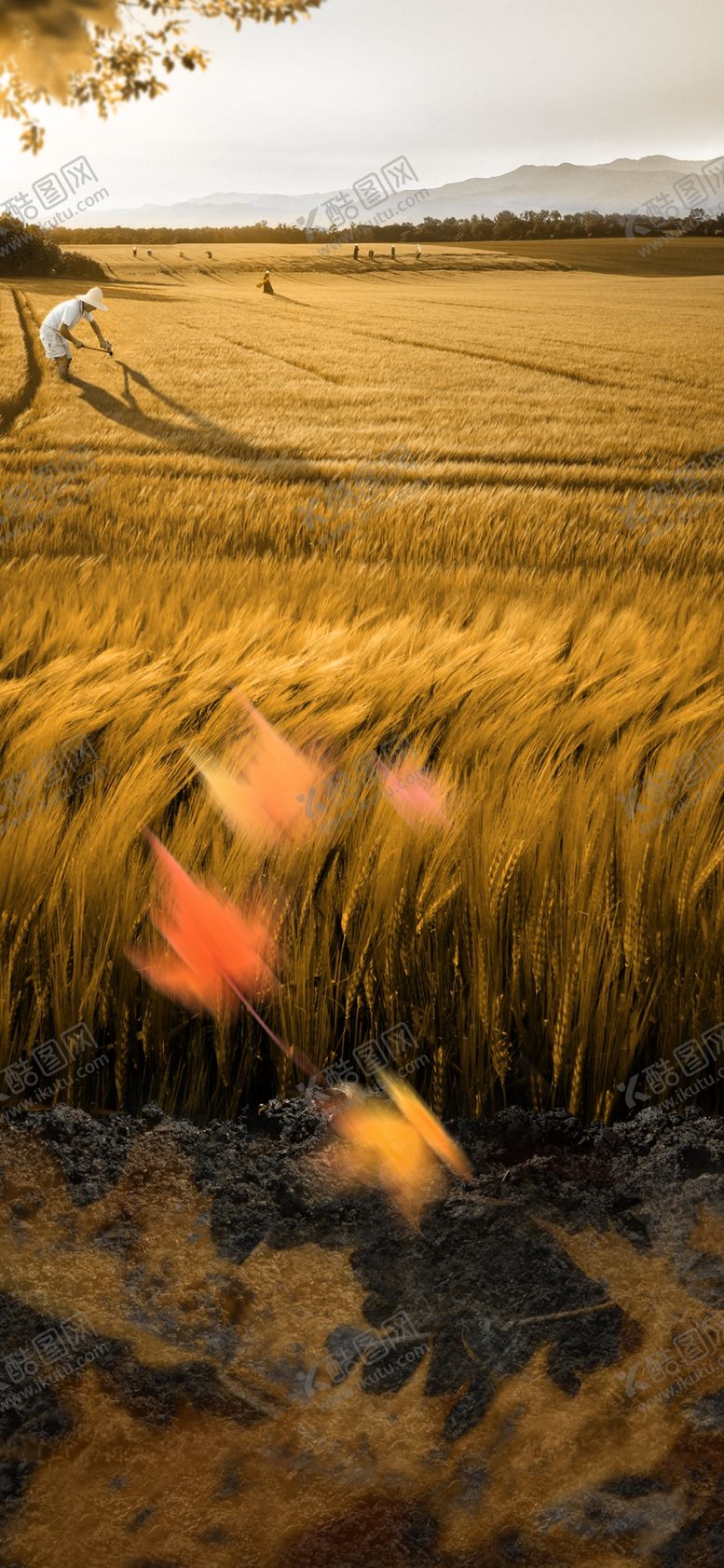 编号：98120109200015122564【酷图网】源文件下载-立秋处暑节气海报